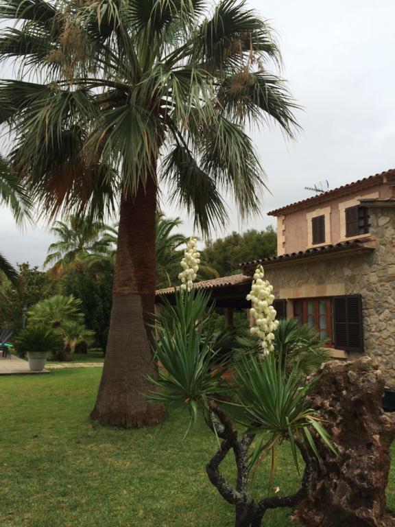 Jardi De Papallones Pollença Εξωτερικό φωτογραφία