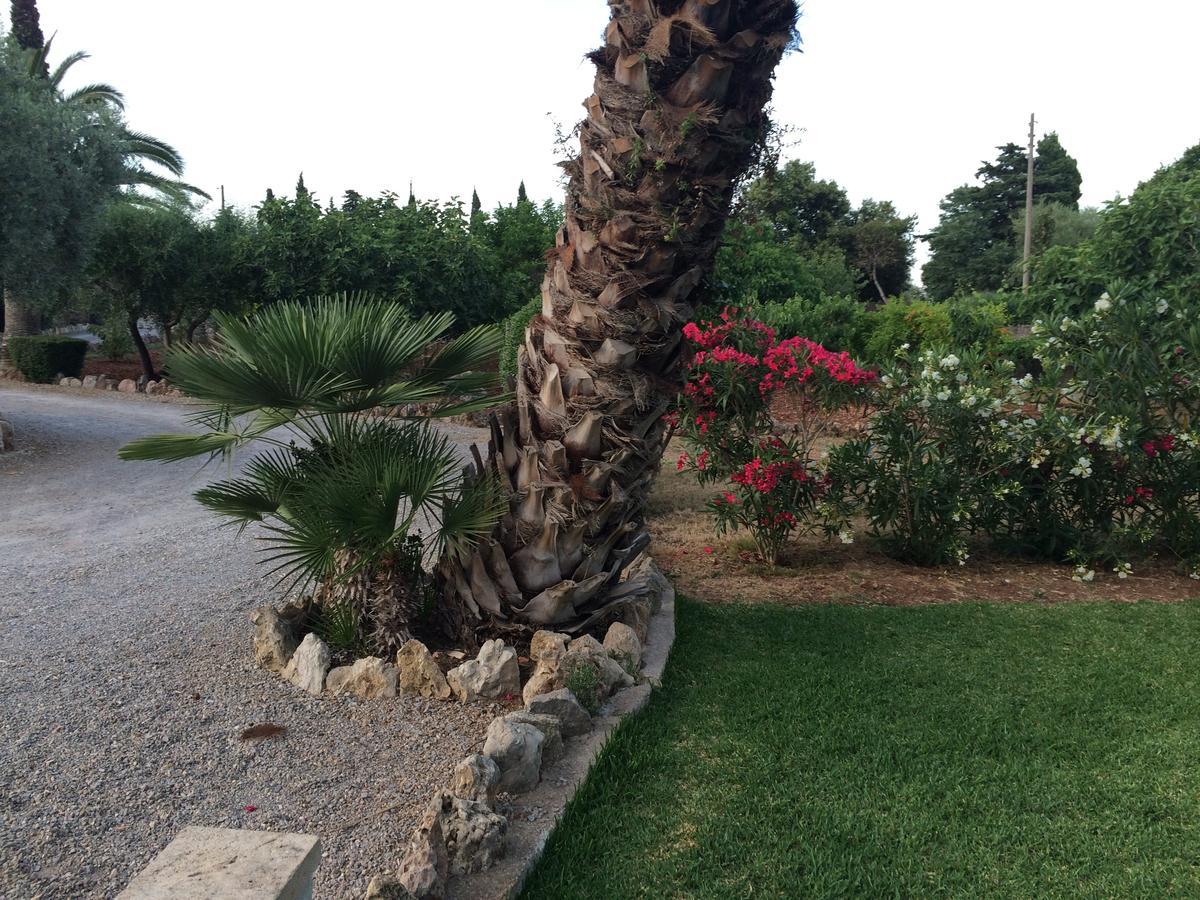 Jardi De Papallones Pollença Εξωτερικό φωτογραφία